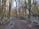 Parc du château de Quincy-Voisins